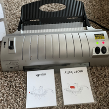 Load image into Gallery viewer, Triceratops Nomenclature Cards -DIY digital download