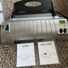 Load image into Gallery viewer, Stegosaurus Nomenclature Cards -DIY digital download