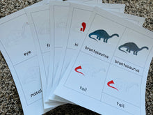 Load image into Gallery viewer, Brontosaurus Nomenclature Cards -DIY digital download