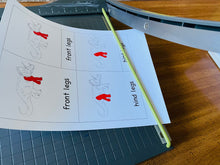 Load image into Gallery viewer, Stegosaurus Nomenclature Cards -DIY digital download