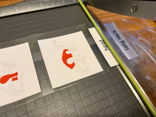 Load image into Gallery viewer, Nomenclature Dinosaur Cards Bundle -5 sets-DIY Digital Download