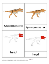 Load image into Gallery viewer, Tyrannosaurus Rex Nomenclature Cards -DIY digital download