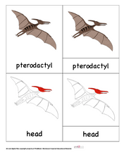 Load image into Gallery viewer, Pterodactyl Nomenclature Cards -DIY digital download