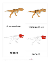Load image into Gallery viewer, SPANISH - Nomenclature Dinosaur Cards Bundle - 5 Card bundle