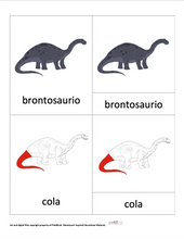 Load image into Gallery viewer, SPANISH - Nomenclature Dinosaur Cards Bundle - 5 Card bundle