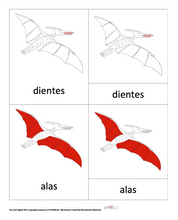 Load image into Gallery viewer, SPANISH - Nomenclature Dinosaur Cards Bundle - 5 Card bundle