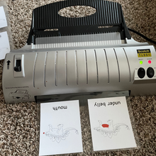 Load image into Gallery viewer, Brontosaurus Nomenclature Cards -DIY digital download