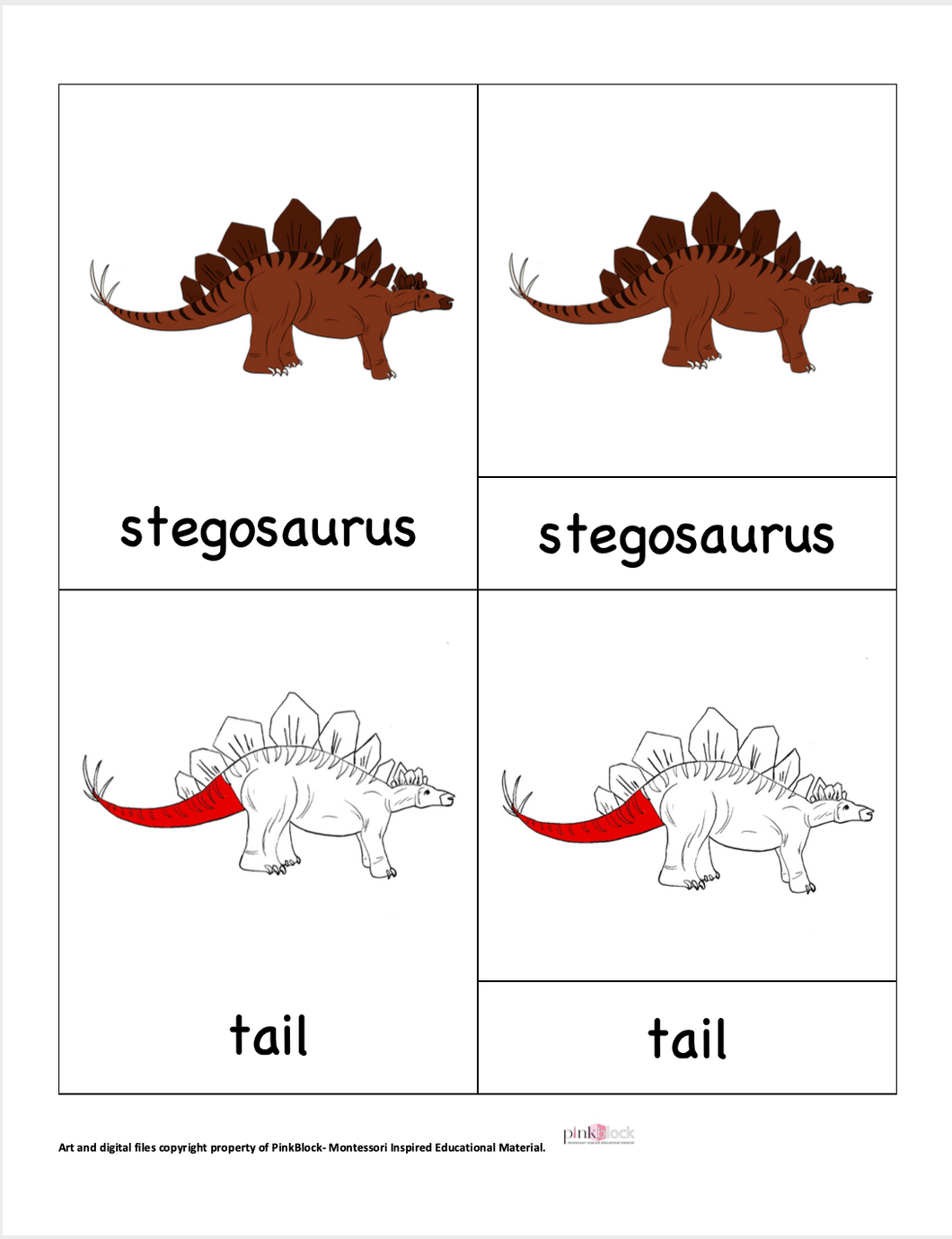 Stegosaurus Nomenclature Cards -DIY digital download