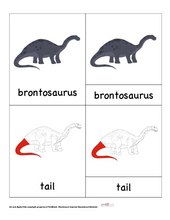Load image into Gallery viewer, Brontosaurus Nomenclature Cards -DIY digital download
