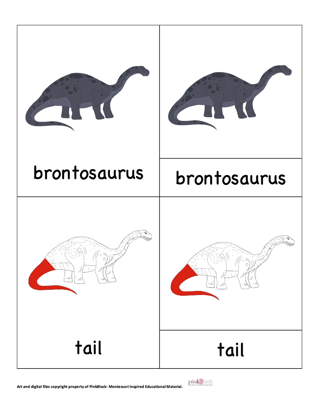 Brontosaurus Nomenclature Cards -DIY digital download
