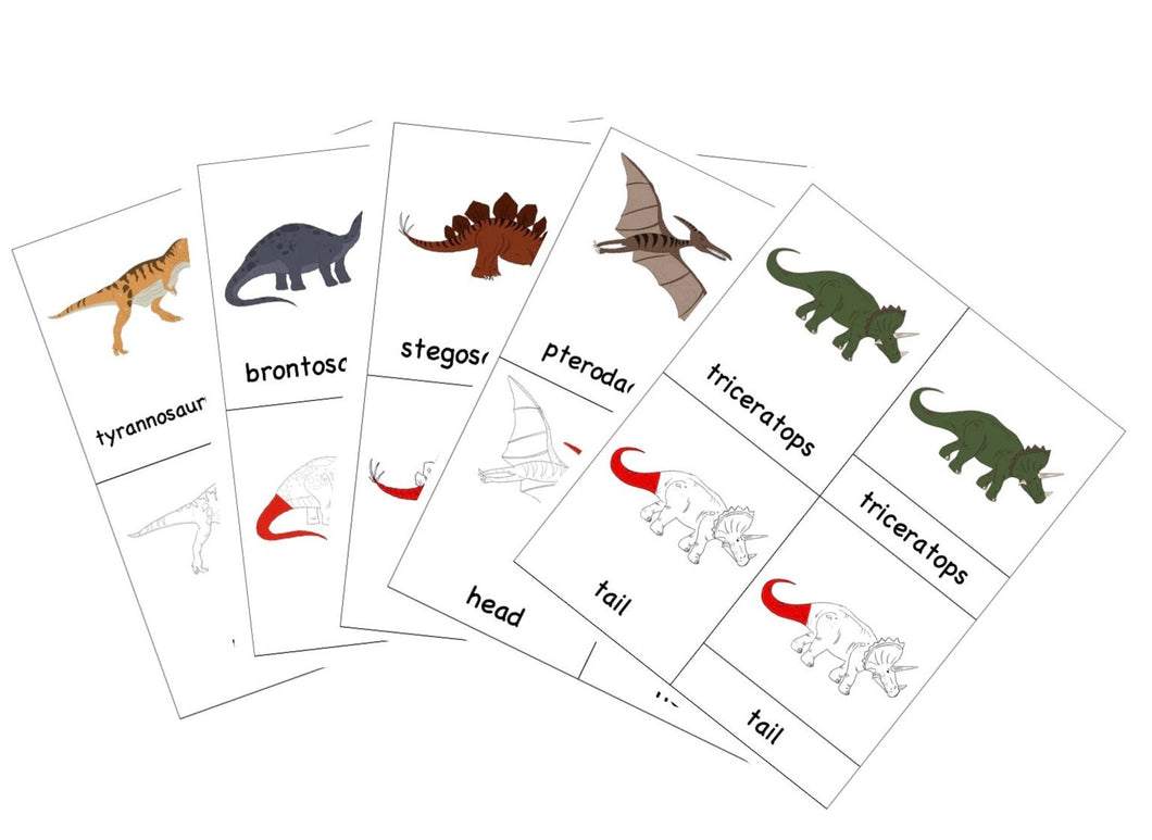 Nomenclature Dinosaur Cards Bundle -5 sets-DIY Digital Download