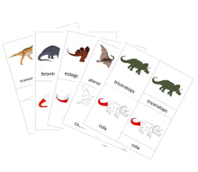 Load image into Gallery viewer, SPANISH - Nomenclature Dinosaur Cards Bundle - 5 Card bundle
