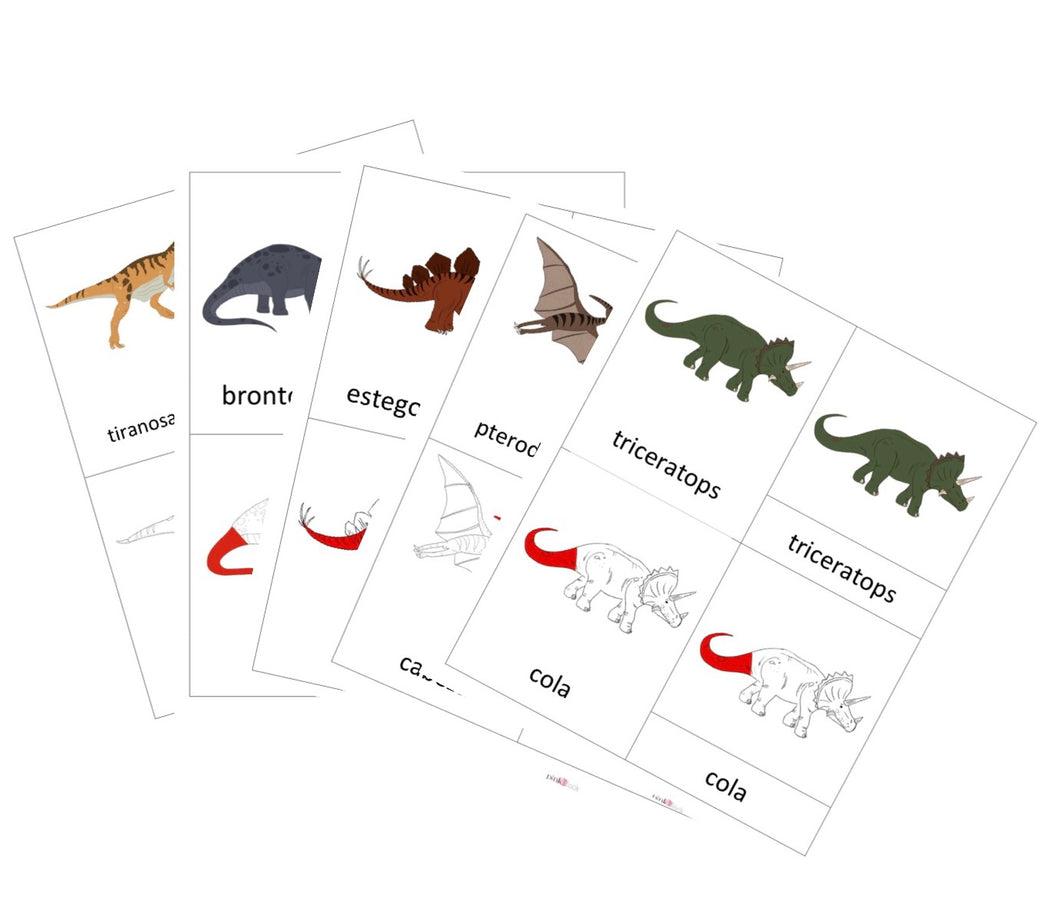 SPANISH - Nomenclature Dinosaur Cards Bundle - 5 Card bundle