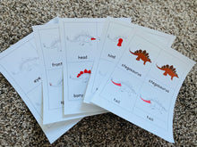 Load image into Gallery viewer, Stegosaurus Nomenclature Cards -DIY digital download
