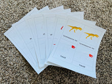 Load image into Gallery viewer, Tyrannosaurus Rex Nomenclature Cards -DIY digital download
