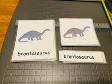 Load image into Gallery viewer, Triceratops Nomenclature Cards -DIY digital download
