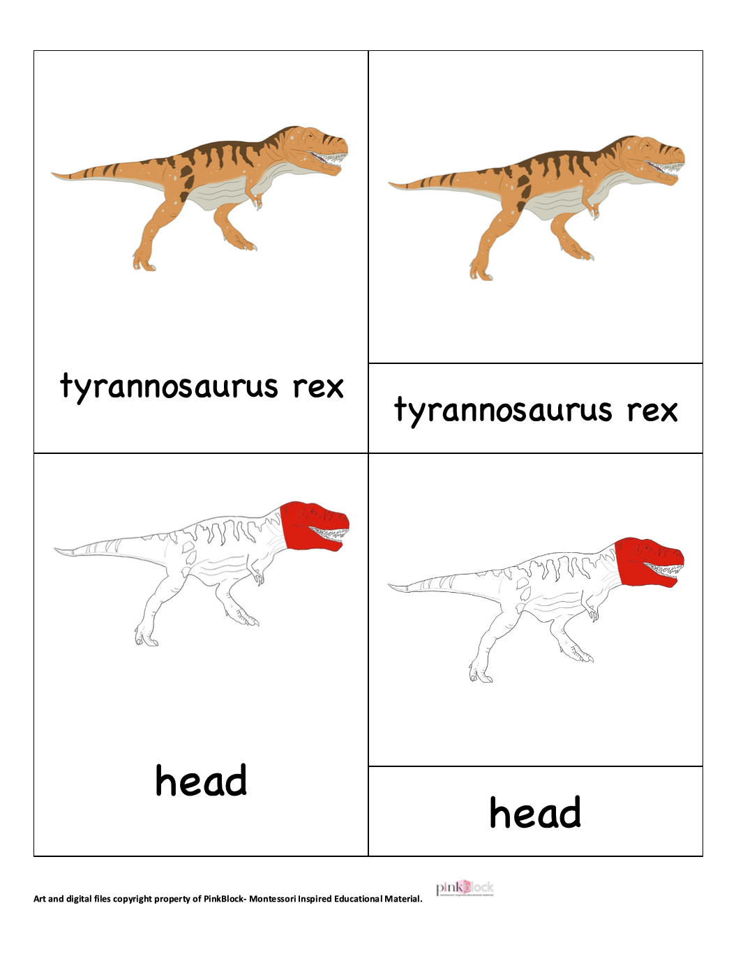 Tyrannosaurus Rex Nomenclature Cards -DIY digital download