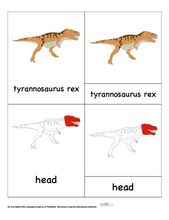 Load image into Gallery viewer, Nomenclature Dinosaur Cards Bundle -5 sets-DIY Digital Download
