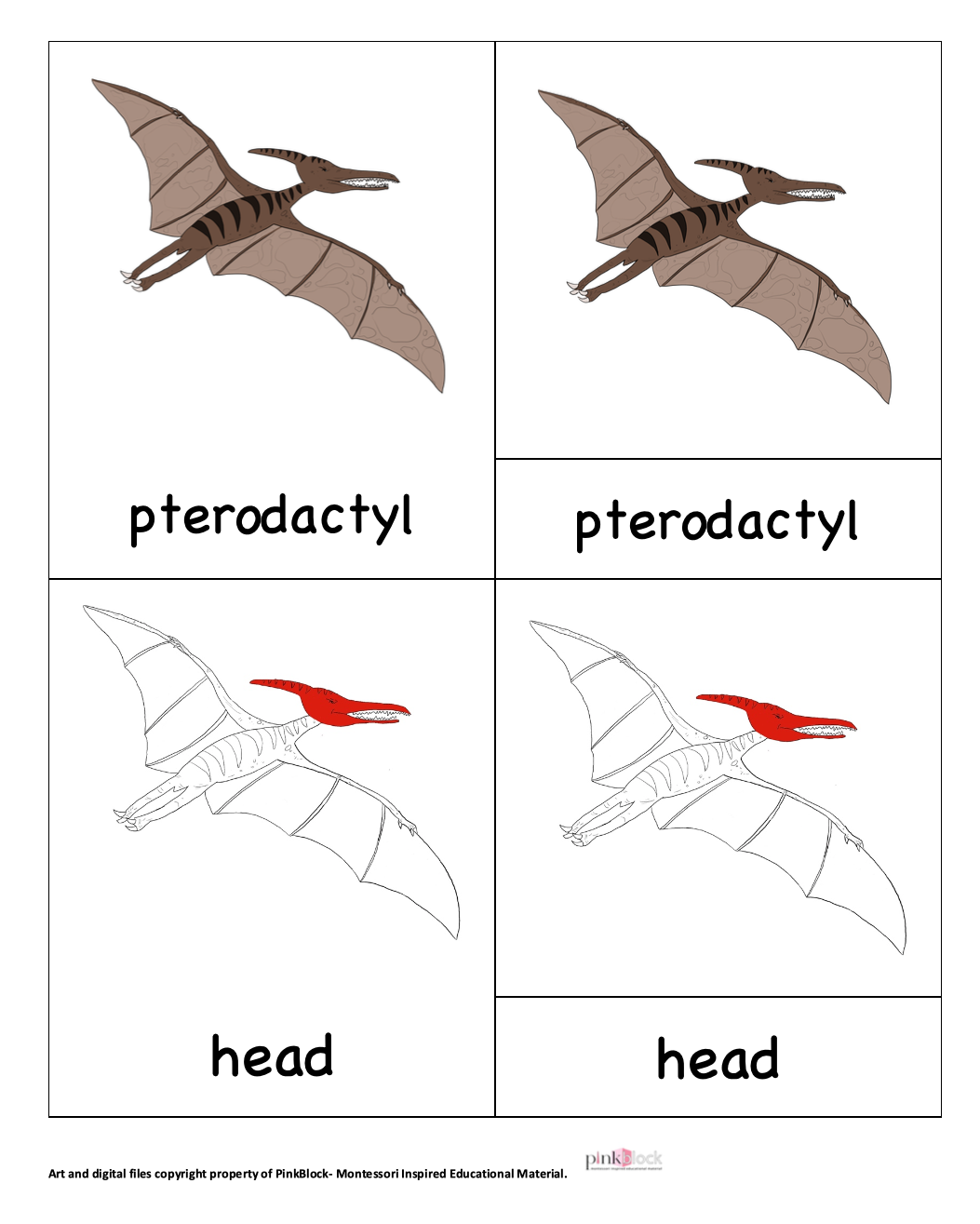 Diy Pterodactyls