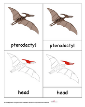 Load image into Gallery viewer, Pterodactyl Nomenclature Cards -DIY digital download
