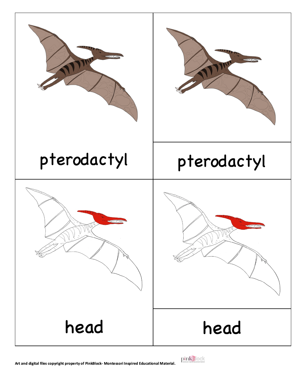 Pterodactyl Nomenclature Cards -DIY digital download