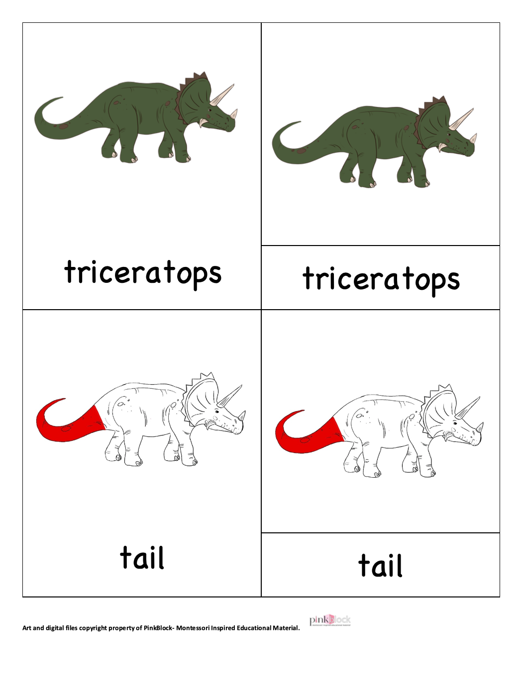 Triceratops Nomenclature Cards -DIY digital download