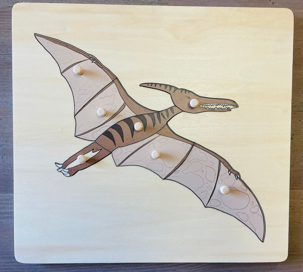 Pterodactyl Wooden Peg Puzzle